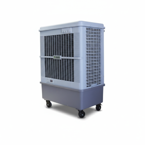 Cooler